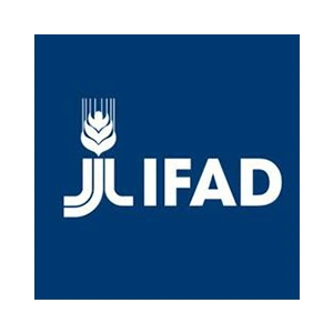 International Fund for Agricultural Development logo