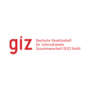 GIZ logo